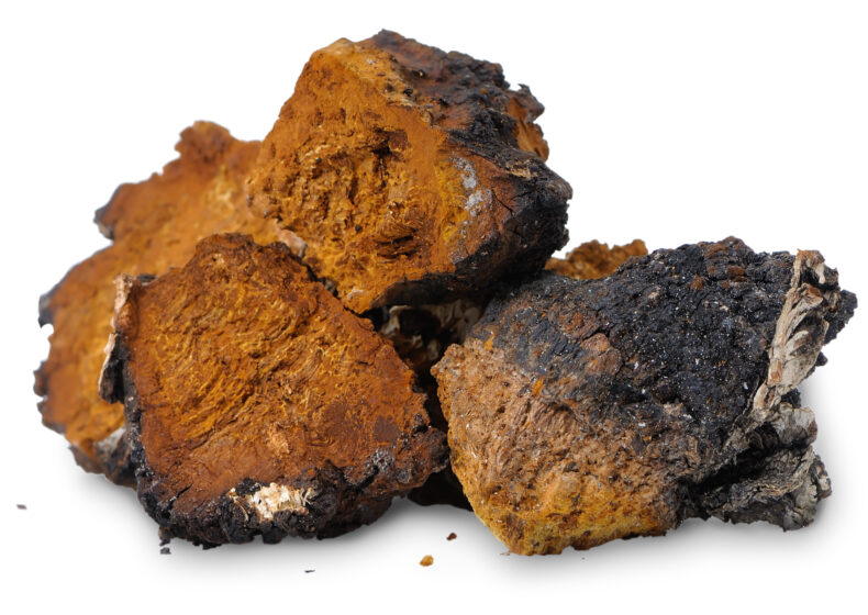 BASF Inolixir Chaga Mushrooms