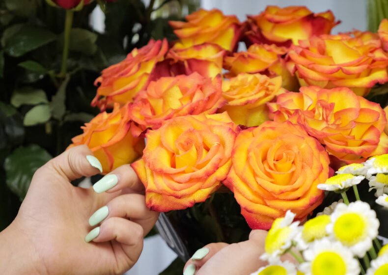 Orange and Red Roses